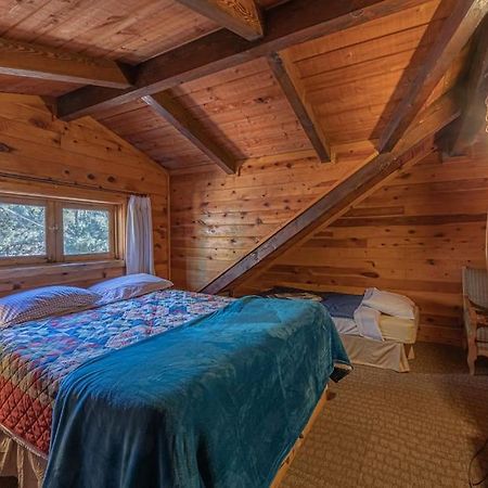 Forest Cabin 3 Bear'S Den Payson Extérieur photo