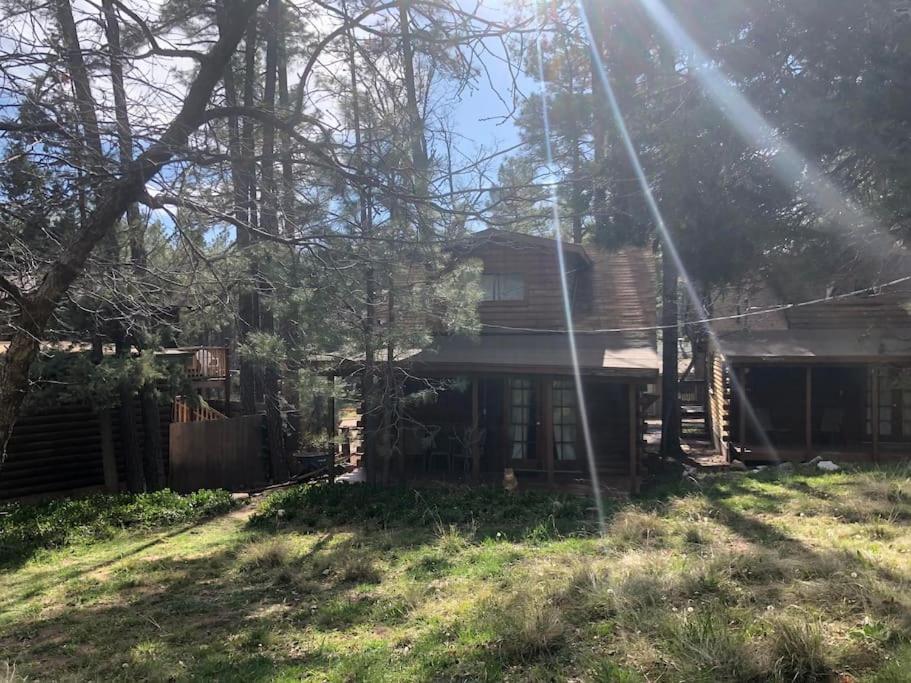 Forest Cabin 3 Bear'S Den Payson Extérieur photo